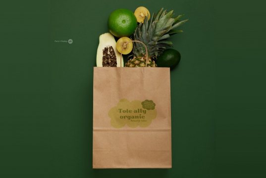 Papieren draagtassen gedraaide handgreep | PIT Packaging.nl | Enveloppenland