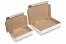 Postdozen zelfklevend wit | PIT Packaging.nl | Enveloppenland