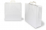 Papieren draagtassen platte handgreep - wit, 450 x 170 x 420 mm | PIT Packaging.nl | Enveloppenland