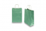 Papieren draagtassen gedraaide handgreep - metallic groen, 220 x 100 x 310 mm, 90 gr | PIT Packaging.nl | Enveloppenland