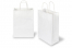 Papieren draagtassen gedraaide handgreep - wit, 220 x 100 x 310 mm, 90 gr | PIT Packaging.nl | Enveloppenland
