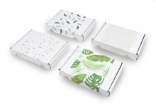 Brievenbusdozen met print | PIT Packaging.nl | Enveloppenland
