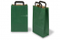 Papieren draagtassen platte handgreep - groen, 220 x 105 x 360 mm | PIT Packaging.nl | Enveloppenland