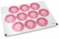 Sluitzegels communie - mi primera comunión roze kruis | PIT Packaging.nl | Enveloppenland