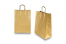 Papieren draagtassen gedraaide handgreep - goud, 260 x 120 x 350 mm, 90 gr | PIT Packaging.nl | Enveloppenland