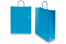 Papieren draagtassen gedraaide handgreep - blauw, 320 x 120 x 410 mm, 100 gr | PIT Packaging.nl | Enveloppenland