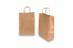 Papieren draagtassen gedraaide handgreep - brons, 220 x 100 x 310 mm, 90 gr | PIT Packaging.nl | Enveloppenland