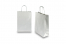Papieren draagtassen gedraaide handgreep - zilver, 220 x 100 x 310 mm, 90 gr | PIT Packaging.nl | Enveloppenland
