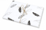 Vloeipapier - als cadeauverpakking | PIT Packaging.nl | Enveloppenland