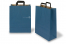 Papieren draagtassen platte handgreep - blauw, 320 x 140 x 420 mm | PIT Packaging.nl | Enveloppenland