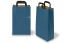 Papieren draagtassen platte handgreep - blauw, 220 x 105 x 360 mm | PIT Packaging.nl | Enveloppenland