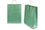 Papieren draagtassen gedraaide handgreep - metallic groen, 320 x 120 x 410 mm, 100 gr | PIT Packaging.nl | Enveloppenland