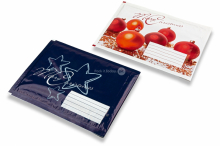 Kerst luchtkussen enveloppen | PIT Packaging.nl | Enveloppenland