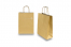 Papieren draagtassen gedraaide handgreep - goud, 220 x 100 x 310 mm, 90 gr | PIT Packaging.nl | Enveloppenland