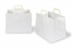 Papieren draagtassen platte handgreep - wit, 317 x 218 x 245 mm | PIT Packaging.nl | Enveloppenland