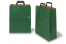 Papieren draagtassen platte handgreep - groen, 320 x 140 x 420 mm | PIT Packaging.nl | Enveloppenland