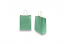 Papieren draagtassen gedraaide handgreep - metallic groen, 180 x 80 x 220 mm, 90 gr | PIT Packaging.nl | Enveloppenland