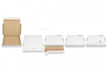 Brievenbusdozen met bovenklep en stripsluiting | PIT Packaging.nl | Enveloppenland