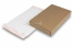 Brievenbusdozen met plakstrip | PIT Packaging.nl | Enveloppenland