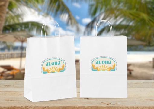 Papieren draagtassen gedraaide handgreep | PIT Packaging.nl | Enveloppenland
